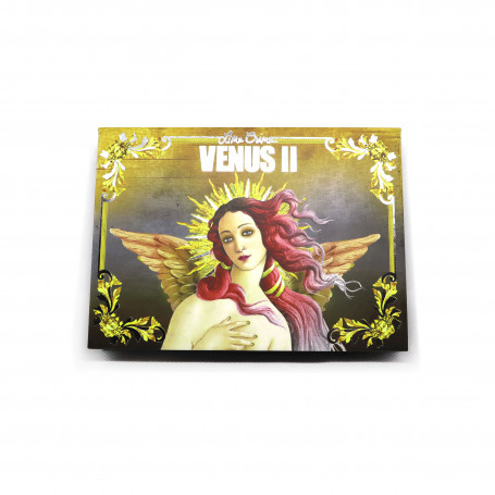 Палетка теней Venus 2